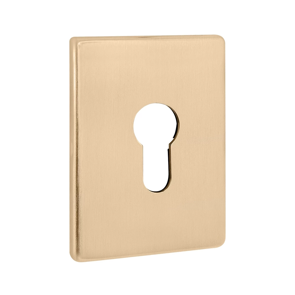 Фото Накладка на цилиндр ESC.C.RL/K.486 (ESC 486-C RL) SSG сатинированное золото